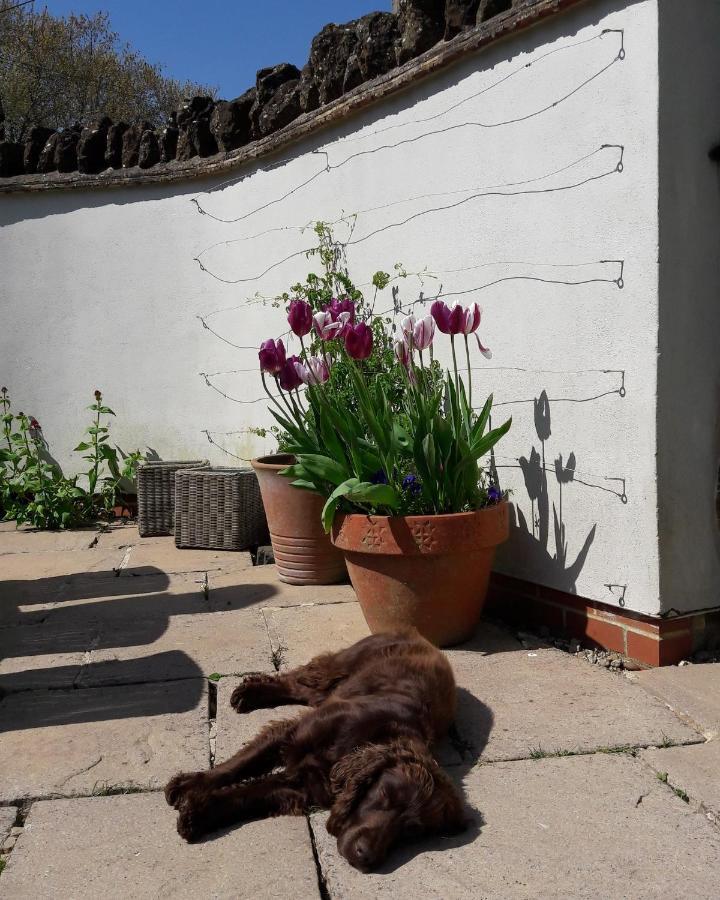 Wayside House B&B Whichford Extérieur photo