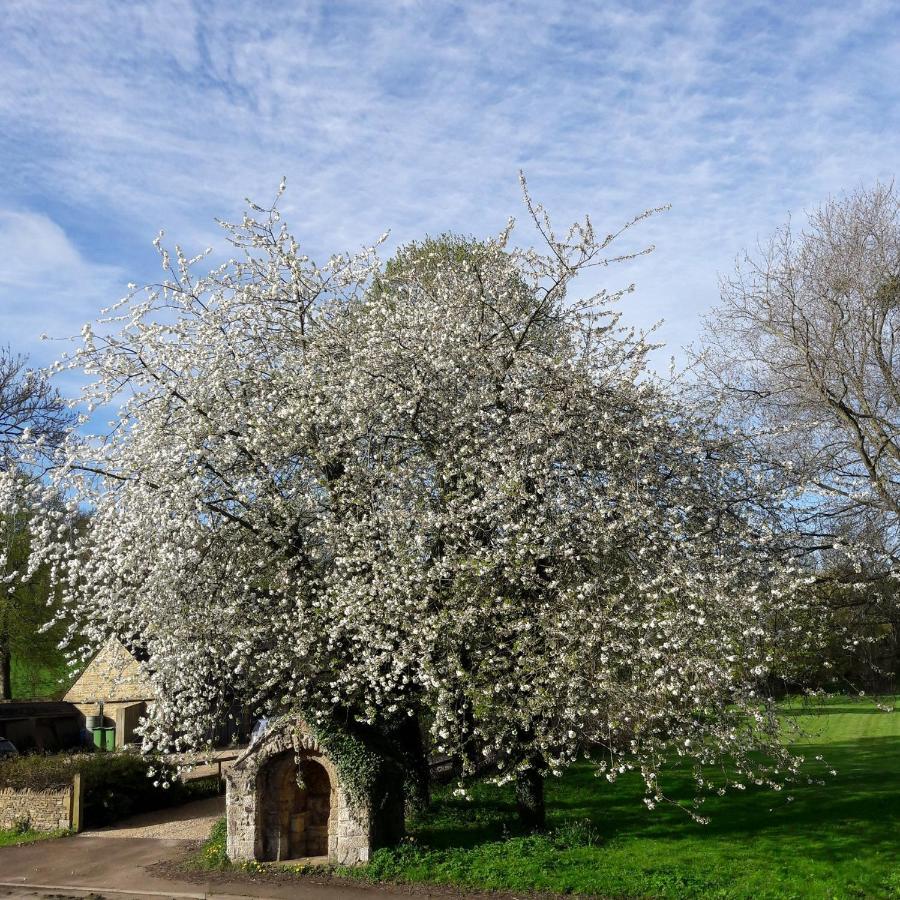 Wayside House B&B Whichford Extérieur photo